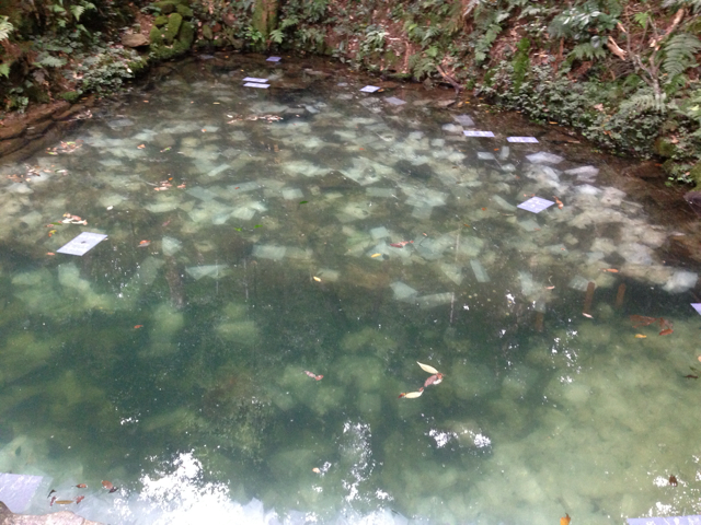 f:id:soratobu-kakuni:20131022082440j:plain f:id:soratobu-kakuni:20131022082440j:plain
