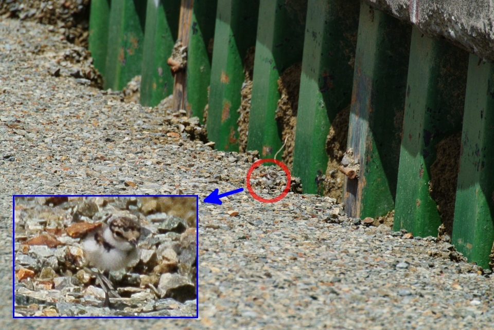 f:id:soremoz:20120708012938j:plain f:id:soremoz:20120708012938j:plain