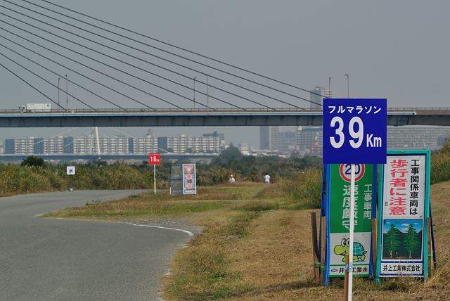 淀川マラソン