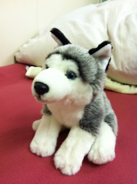 f:id:sorua:20130305184328j:image:h400 f:id:sorua:20130305184328j:image:h400