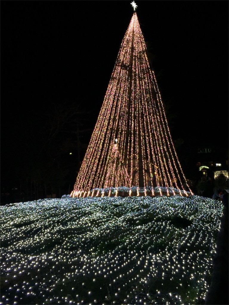 f:id:sorua:20151228190824j:image f:id:sorua:20151228190824j:image