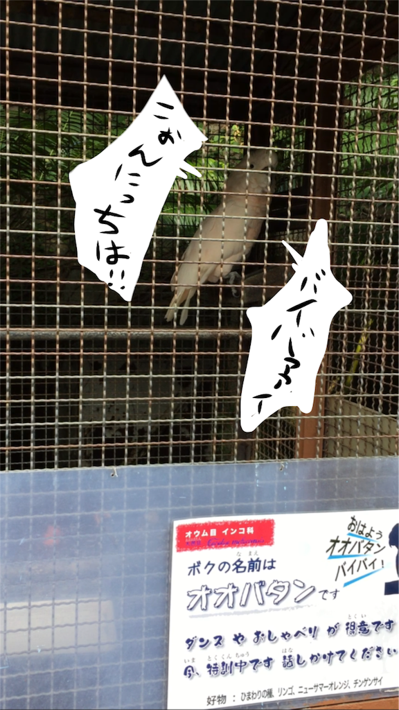 f:id:sorua:20160228095319p:image f:id:sorua:20160228095319p:image