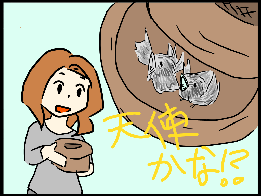 f:id:sorua:20160410135524p:image f:id:sorua:20160410135524p:image