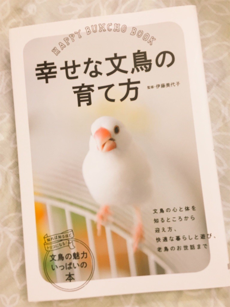 f:id:sorua:20160410234038j:image f:id:sorua:20160410234038j:image