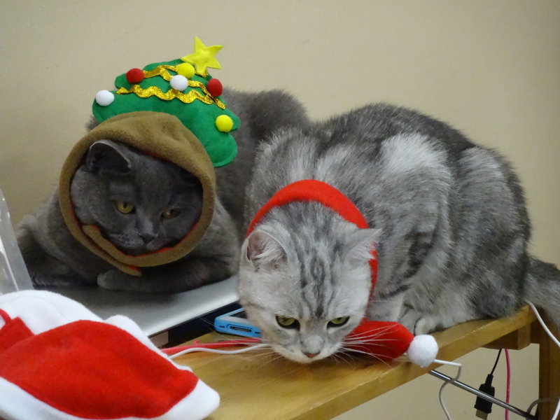 f:id:sou:20131222135637j:plain