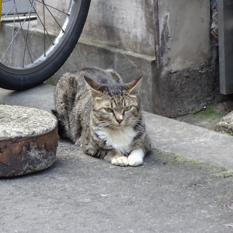 f:id:sou:20150429162235j:plain