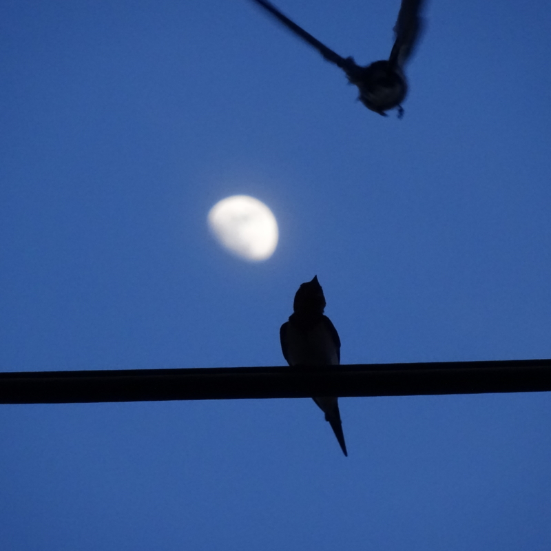 f:id:sou:20150429183922j:plain