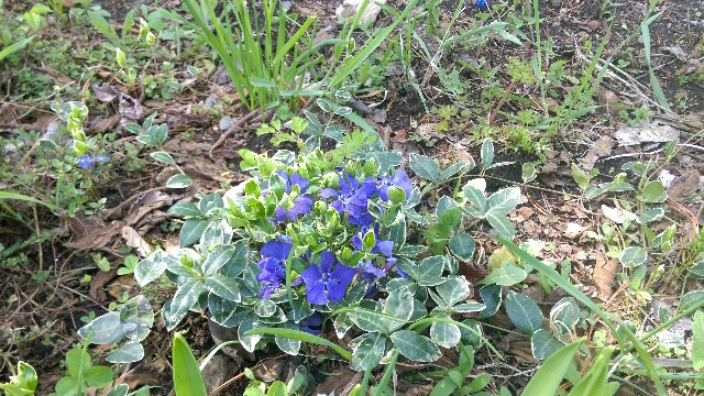 f:id:souldance225:20160514094958j:image f:id:souldance225:20160514094958j:image