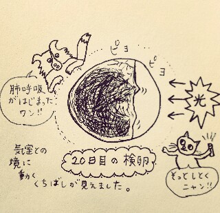 f:id:souldance225:20160524084658j:image f:id:souldance225:20160524084658j:image