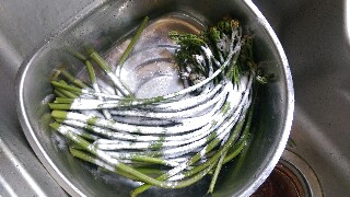 f:id:souldance225:20160529212056j:image f:id:souldance225:20160529212056j:image