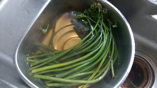 f:id:souldance225:20160529212236j:image f:id:souldance225:20160529212236j:image