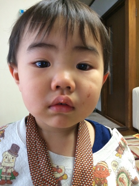 f:id:sounyan:20150114155227j:plain f:id:sounyan:20150114155227j:plain