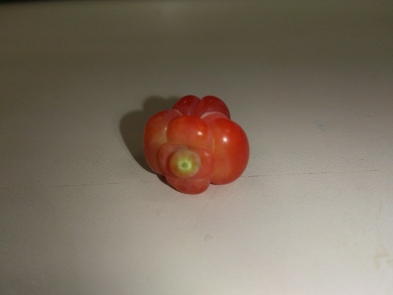 f:id:soutyu:20130713192256j:plain f:id:soutyu:20130713192256j:plain