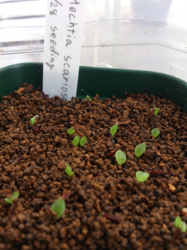 f:id:soutyu:20130713192400j:plain f:id:soutyu:20130713192400j:plain