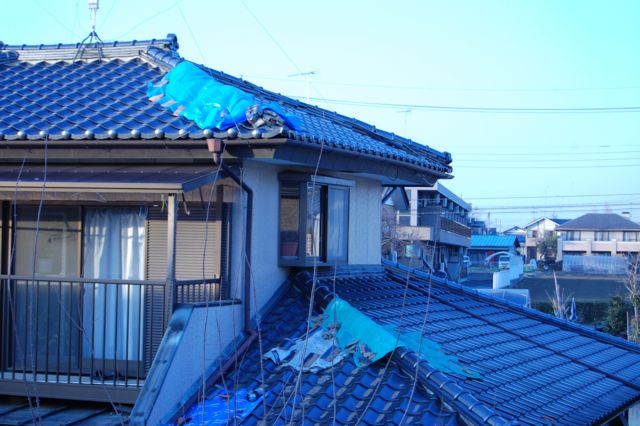 f:id:sowaka63:20110313181412j:image:w480 f:id:sowaka63:20110313181412j:image:w480
