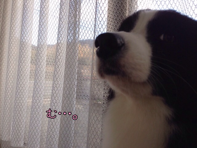 f:id:sp_ice:20141215184046j:plain f:id:sp_ice:20141215184046j:plain