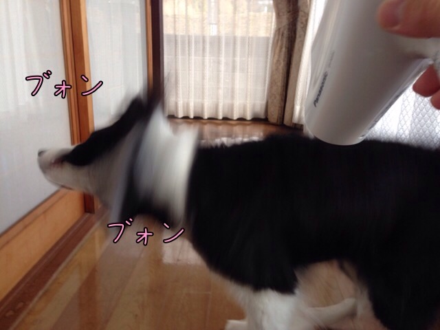 f:id:sp_ice:20141215184148j:plain f:id:sp_ice:20141215184148j:plain