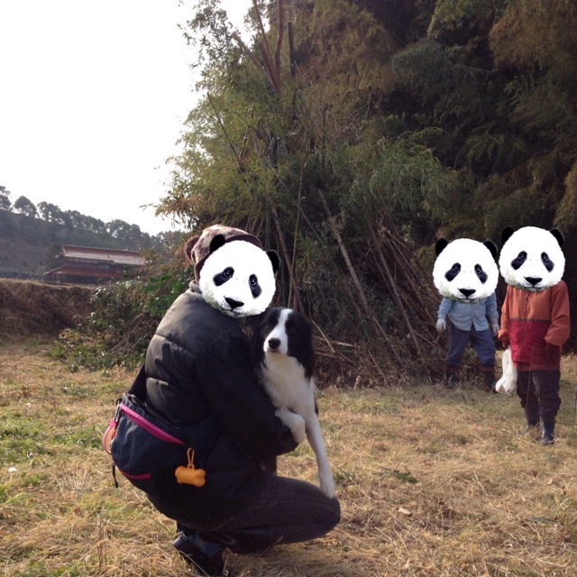 f:id:sp_ice:20150113195113j:plain f:id:sp_ice:20150113195113j:plain