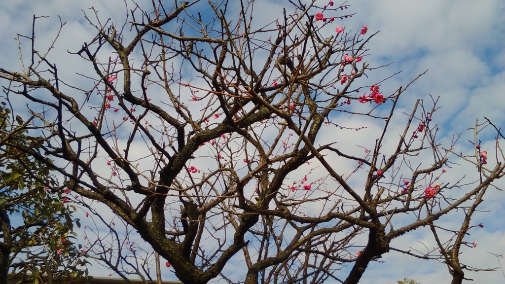 f:id:space-zero:20160111233610j:plain f:id:space-zero:20160111233610j:plain