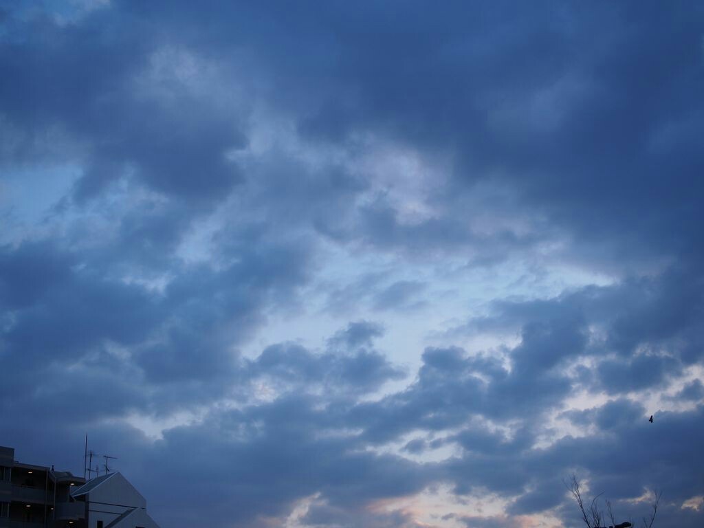 f:id:speaknoevil:20150323194353j:image f:id:speaknoevil:20150323194353j:image