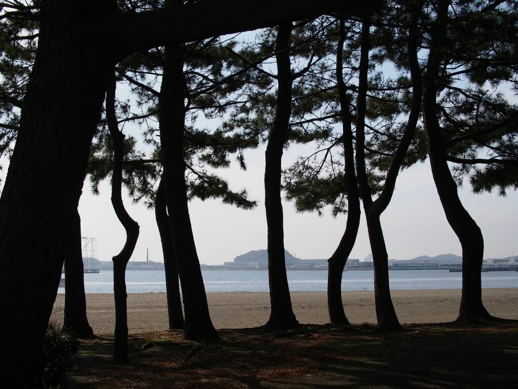 f:id:speaknoevil:20150412191727j:image f:id:speaknoevil:20150412191727j:image