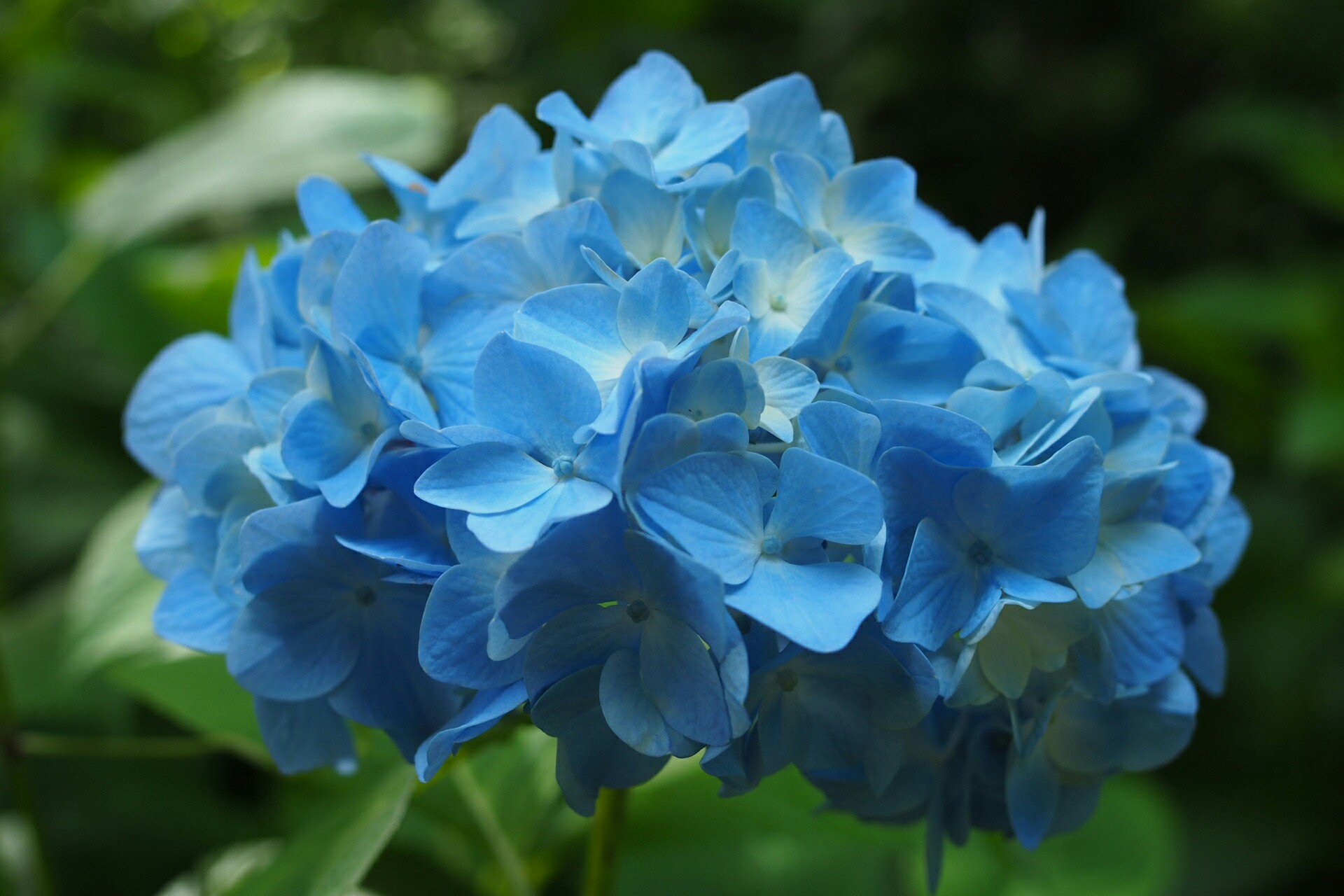 f:id:speaknoevil:20150531104332j:image f:id:speaknoevil:20150531104332j:image