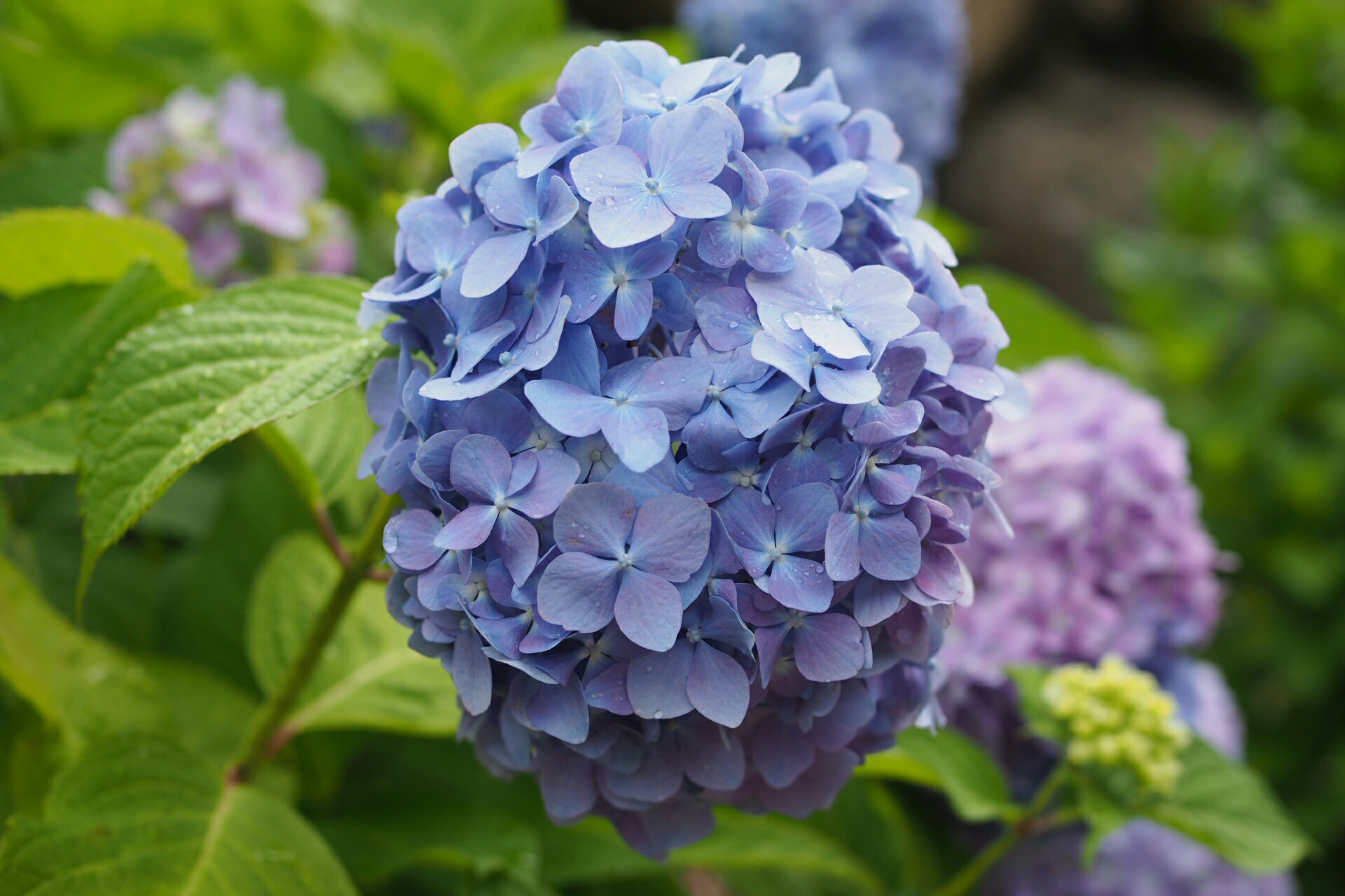 f:id:speaknoevil:20150606222030j:image f:id:speaknoevil:20150606222030j:image
