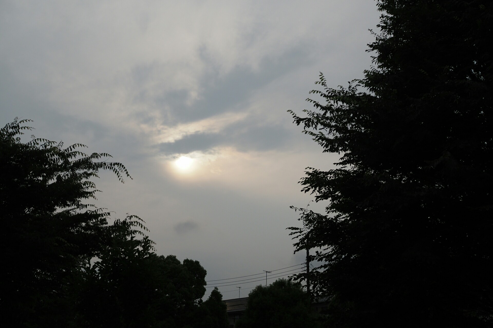 f:id:speaknoevil:20150615124832j:image f:id:speaknoevil:20150615124832j:image