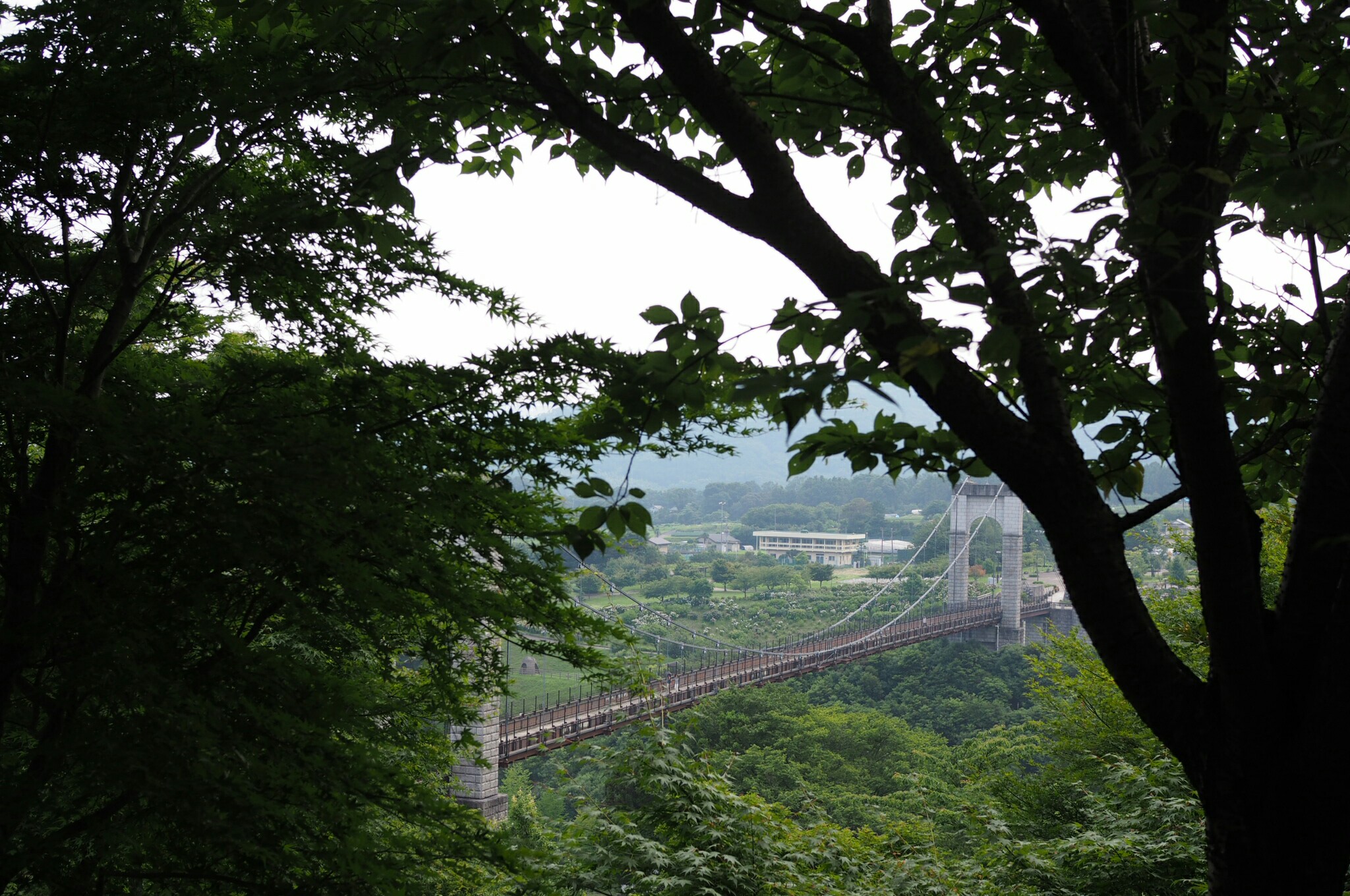 f:id:speaknoevil:20150712035637j:image f:id:speaknoevil:20150712035637j:image