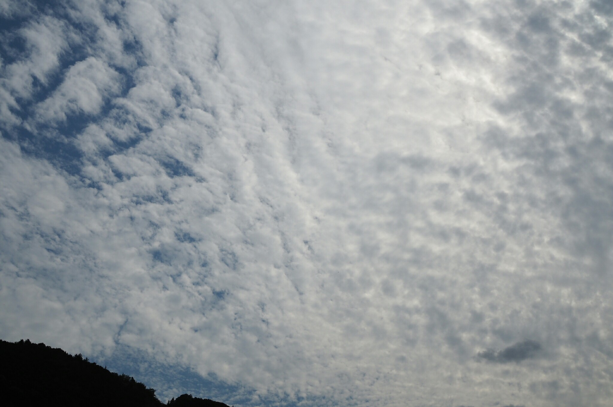 f:id:speaknoevil:20150922093727j:image f:id:speaknoevil:20150922093727j:image