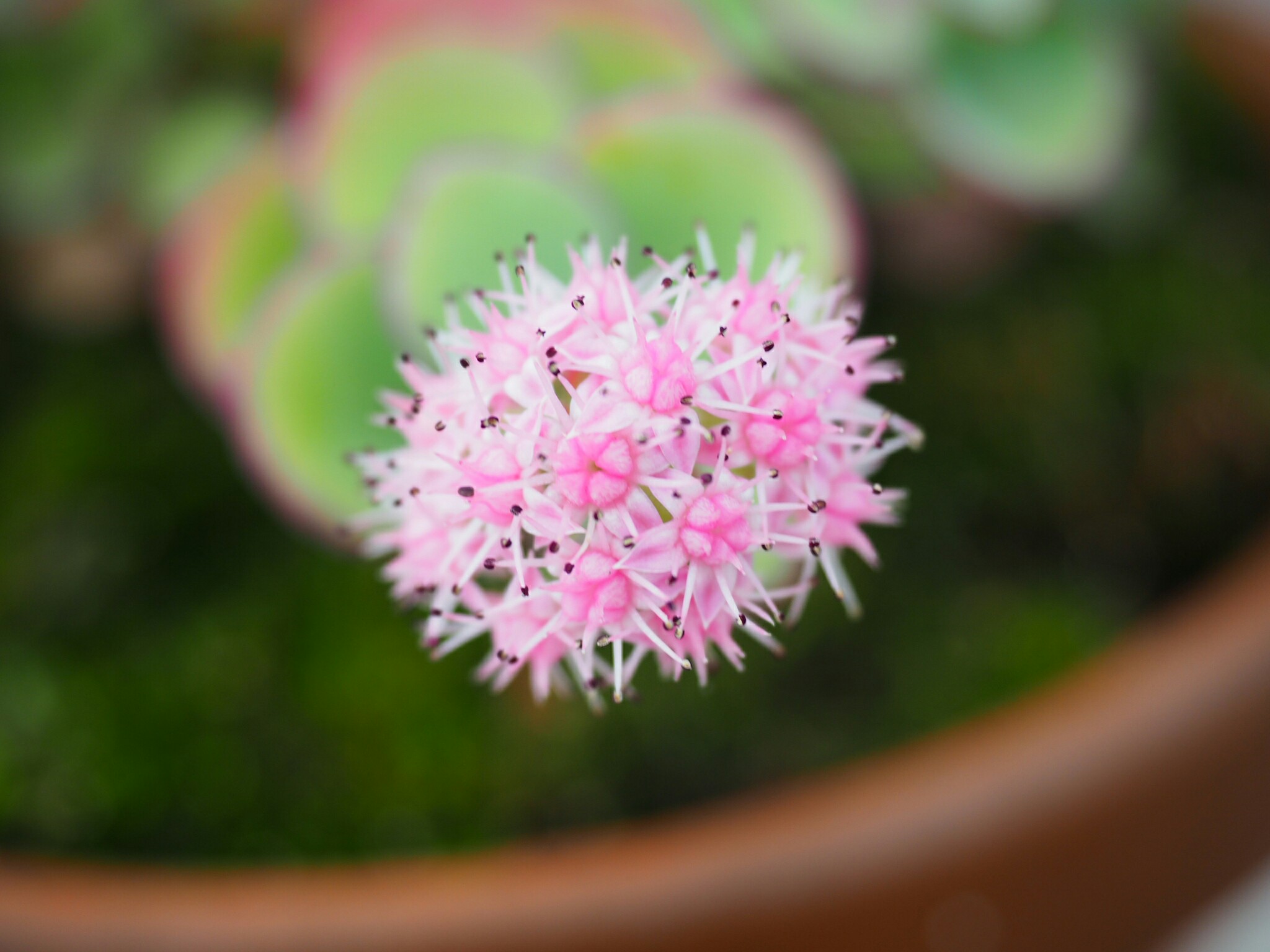 f:id:speaknoevil:20151024102455j:image f:id:speaknoevil:20151024102455j:image