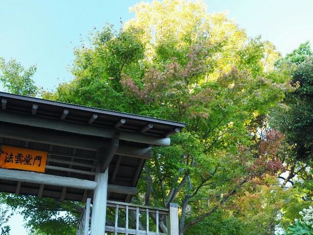 f:id:speaknoevil:20151117235404j:image f:id:speaknoevil:20151117235404j:image