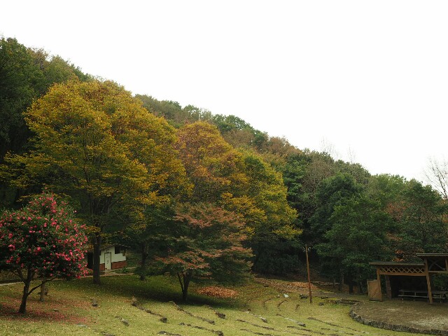 f:id:speaknoevil:20151124124958j:image f:id:speaknoevil:20151124124958j:image