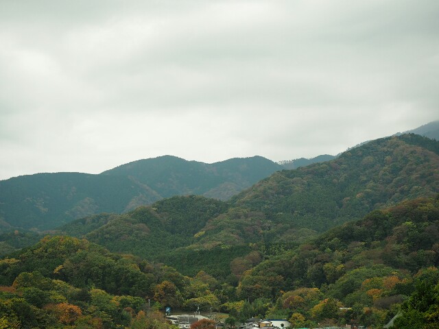 f:id:speaknoevil:20151124125817j:image f:id:speaknoevil:20151124125817j:image