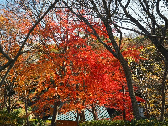 f:id:speaknoevil:20151212174649j:image f:id:speaknoevil:20151212174649j:image