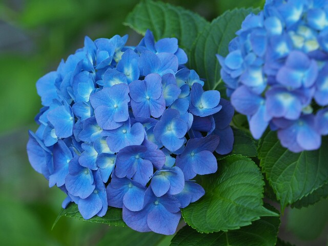f:id:speaknoevil:20160612233221j:image f:id:speaknoevil:20160612233221j:image