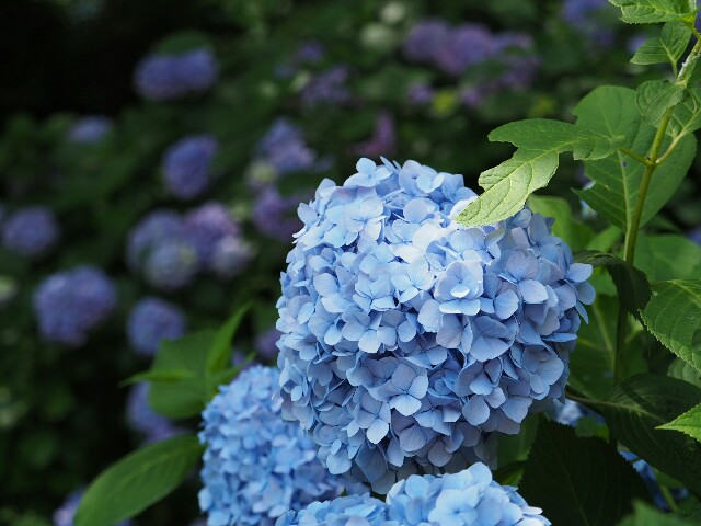 f:id:speaknoevil:20160612234627j:image f:id:speaknoevil:20160612234627j:image