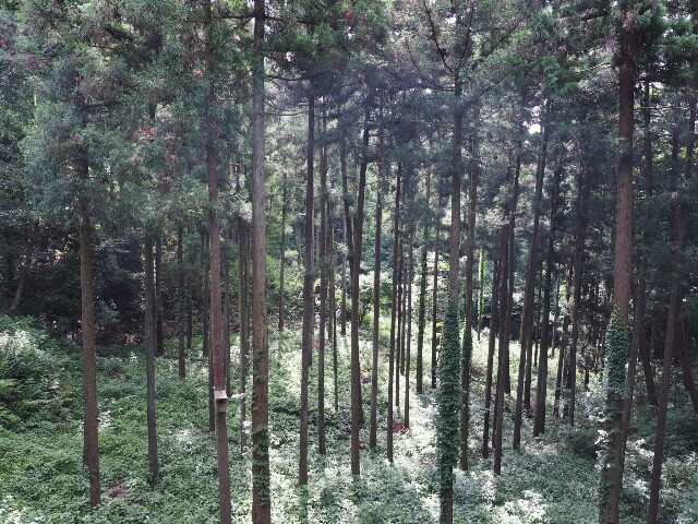 f:id:speaknoevil:20160628130507j:image f:id:speaknoevil:20160628130507j:image