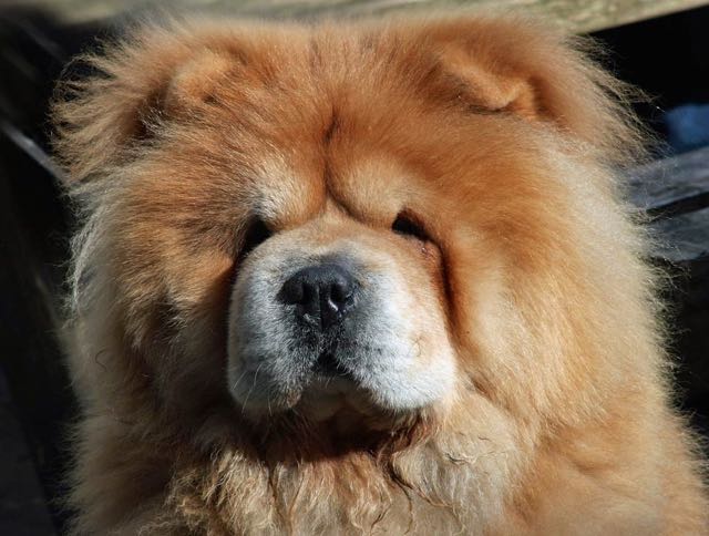 f:id:specide:20150607174657j:plain f:id:specide:20150607174657j:plain