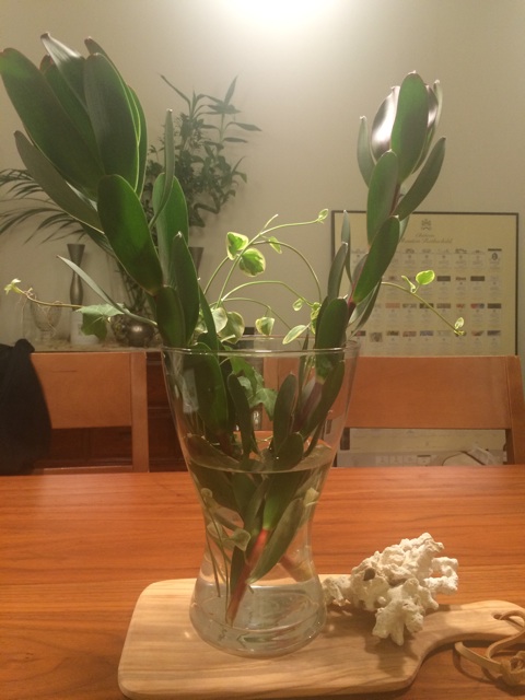 f:id:spiceup:20150711030522j:plain f:id:spiceup:20150711030522j:plain