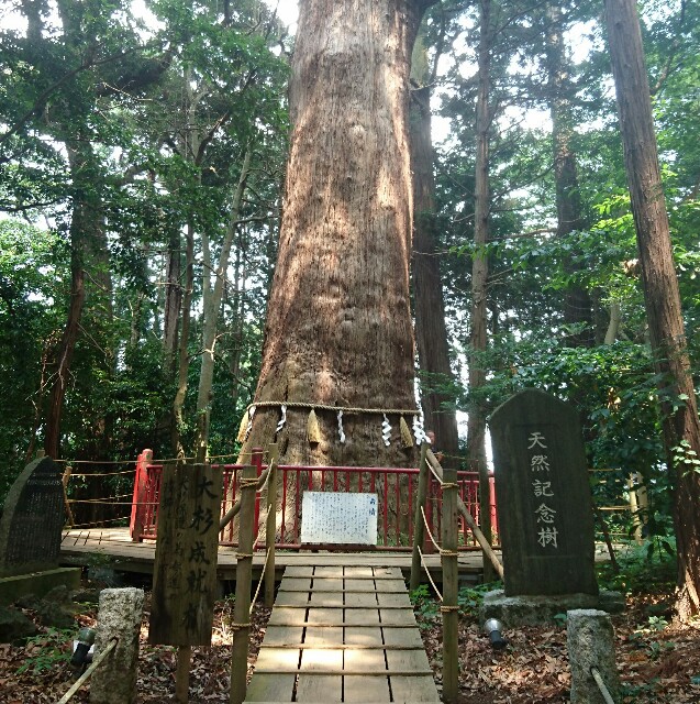 f:id:spiritual-labo:20160713074548j:image f:id:spiritual-labo:20160713074548j:image