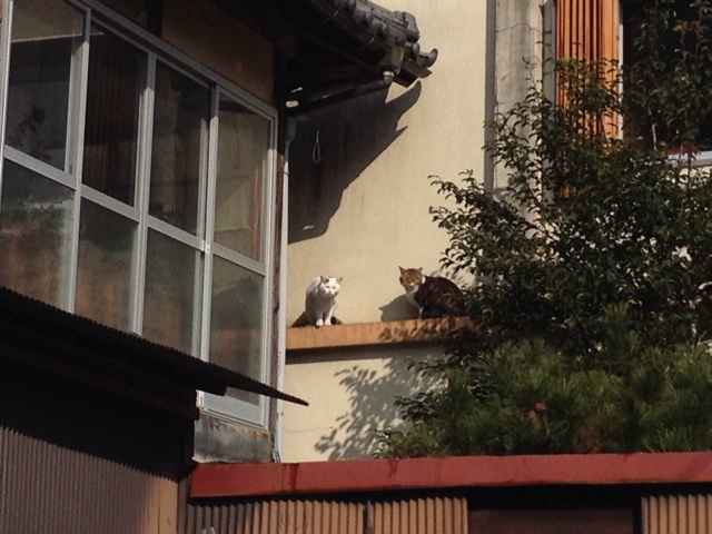 f:id:sprighascome:20131230221740j:plain f:id:sprighascome:20131230221740j:plain