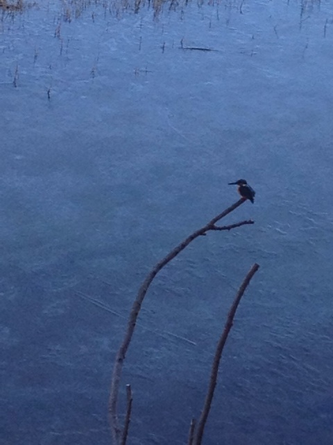 f:id:sprighascome:20140119220322j:plain f:id:sprighascome:20140119220322j:plain