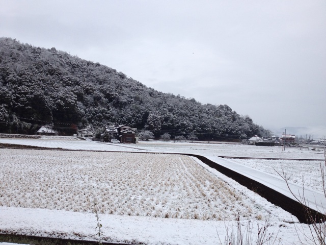 f:id:sprighascome:20140209003429j:plain f:id:sprighascome:20140209003429j:plain