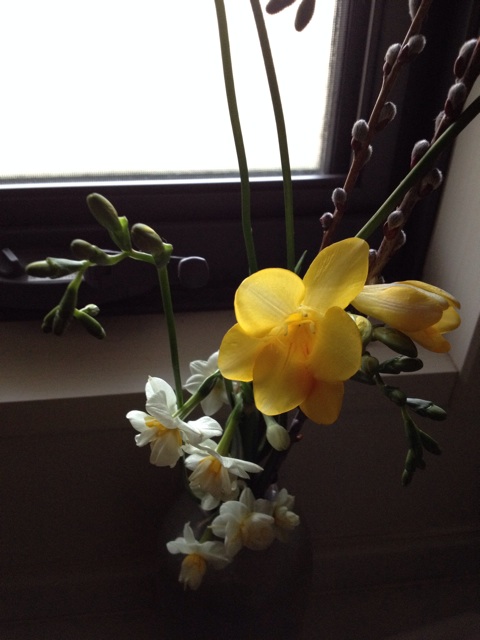 f:id:sprighascome:20140210225047j:plain f:id:sprighascome:20140210225047j:plain