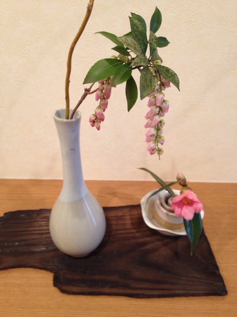 f:id:sprighascome:20140213024943j:plain f:id:sprighascome:20140213024943j:plain