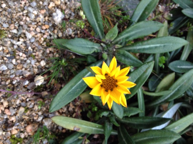 f:id:sprighascome:20140305185959j:plain f:id:sprighascome:20140305185959j:plain