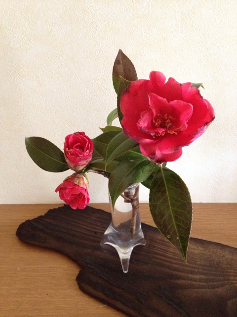 f:id:sprighascome:20140309211845j:plain f:id:sprighascome:20140309211845j:plain