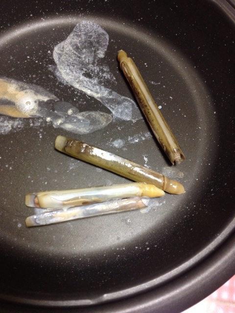 f:id:sprighascome:20140318231234j:plain f:id:sprighascome:20140318231234j:plain