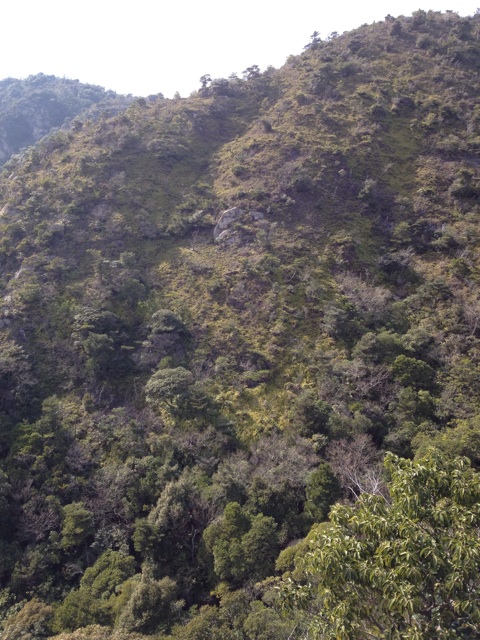 f:id:sprighascome:20140323153724j:plain f:id:sprighascome:20140323153724j:plain